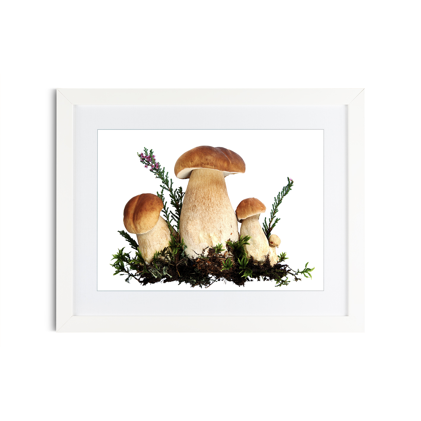 Fungi Kitchen-Coffee FOOD 20 - Image 3