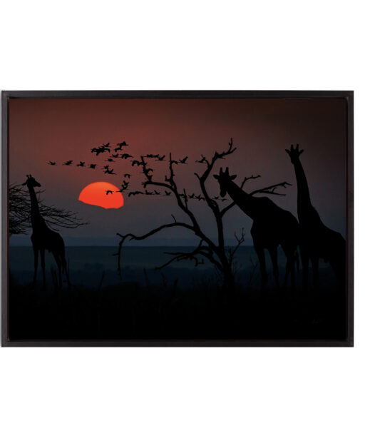 Giraffe Animals GIRAFAS 01 - Image 8