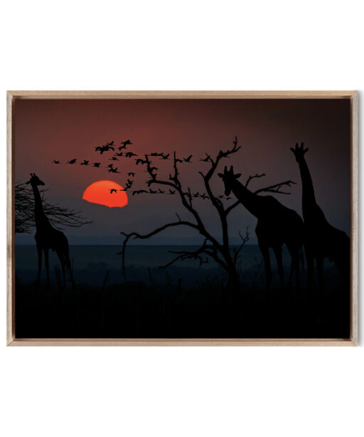Giraffe Animals GIRAFAS 01 - Image 5