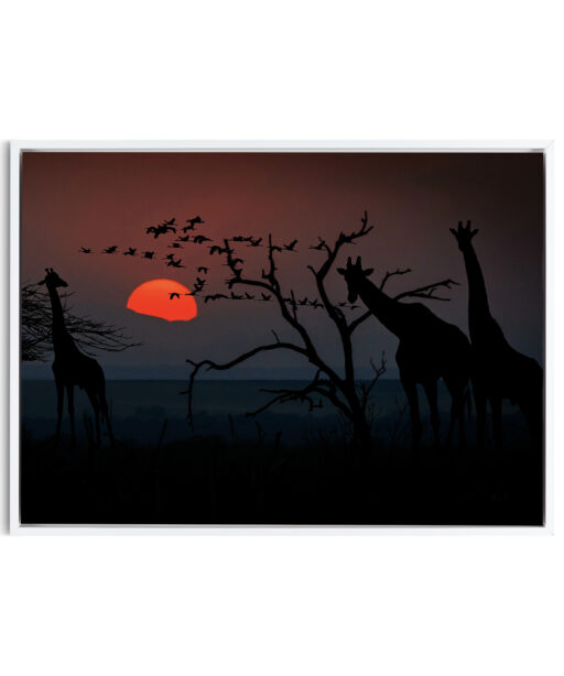 Giraffe Animals GIRAFAS 01 - Image 6