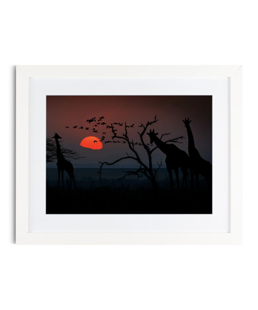 Giraffe Animals GIRAFAS 01 - Image 3