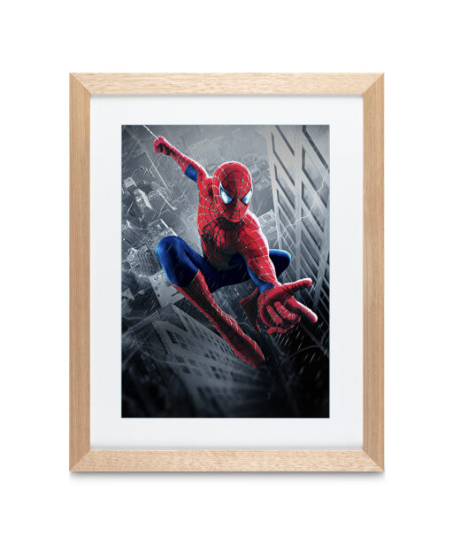 Alternative view of Spiderman 2 Children-Youth HH 20