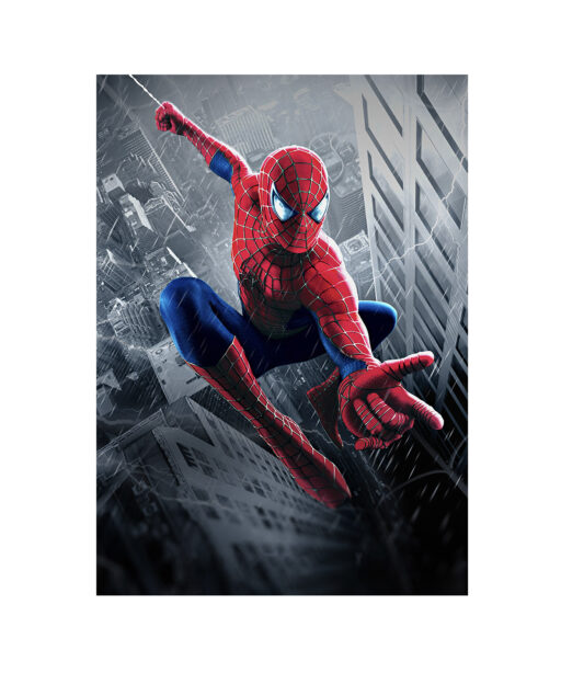 Spiderman 2 Children-Youth HH 20 - Image 7