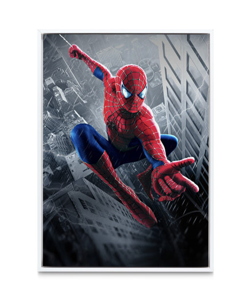 Spiderman 2 Children-Youth HH 20 - Image 6