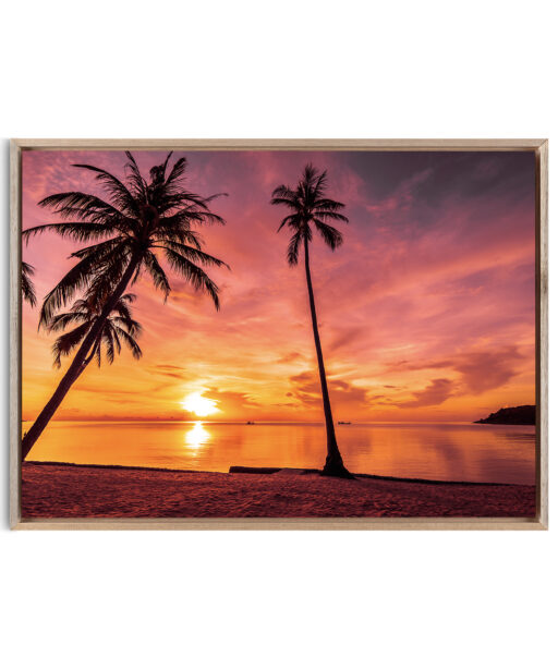 Sunset Palms Seascapes MAR 15 - Image 5