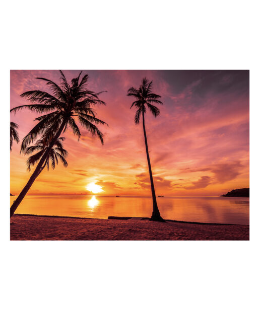 Sunset Palms Seascapes MAR 15 - Image 7