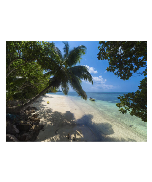 Tropical Getaway Seascapes MAR 40 - Image 7