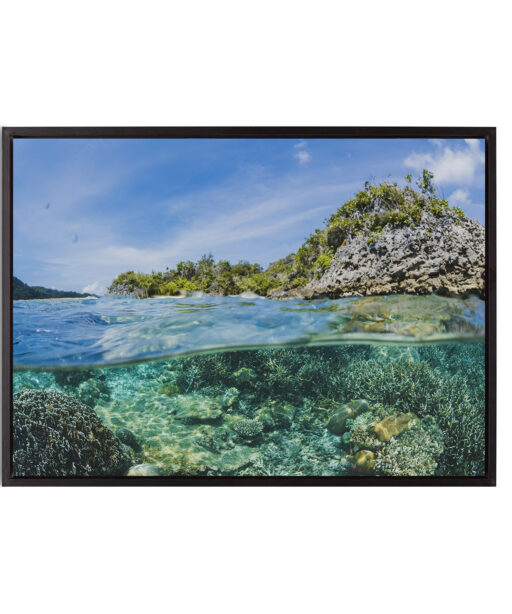 Tropical Reef Seascapes MAR 58 - Image 8