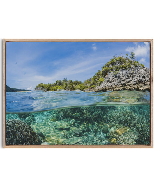 Tropical Reef Seascapes MAR 58 - Image 5