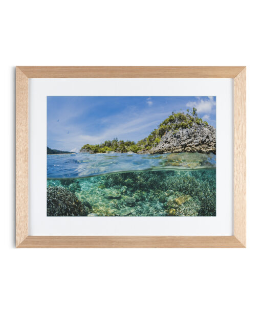 Alternative view of Tropical Reef Seascapes MAR 58