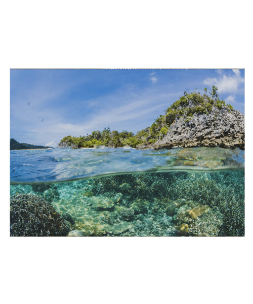 Tropical Reef Seascapes MAR 58 - Image 7