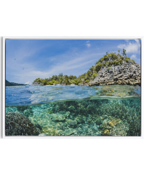 Tropical Reef Seascapes MAR 58 - Image 6