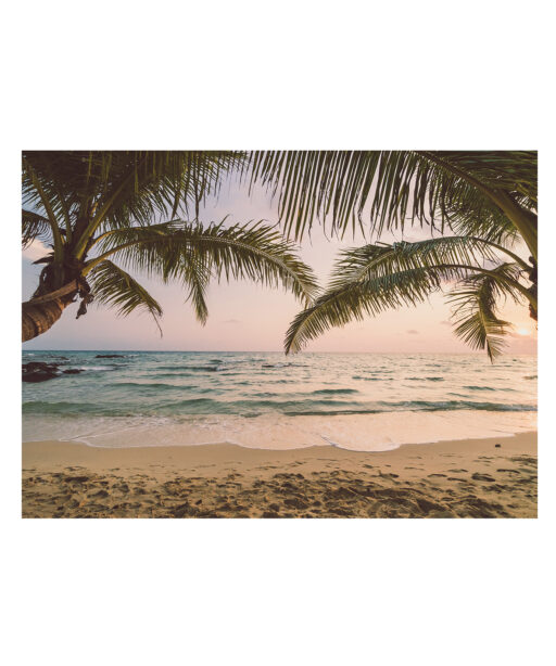 Palm Fringed Beach Seascapes MAR 65 - Image 7