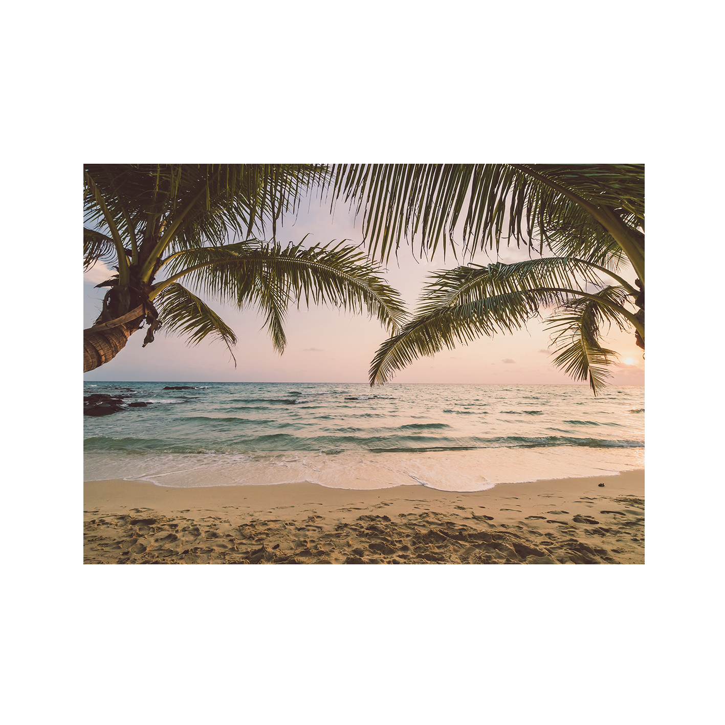 Palm Fringed Beach Seascapes MAR 65 - Image 7