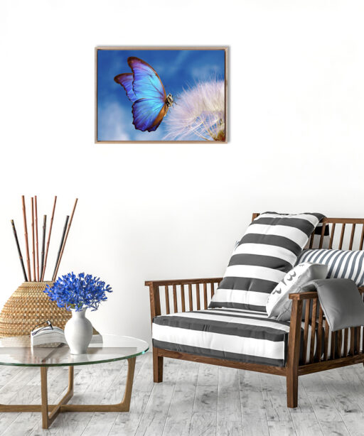 Blue Butterfly Animals BORBOLETAS 03