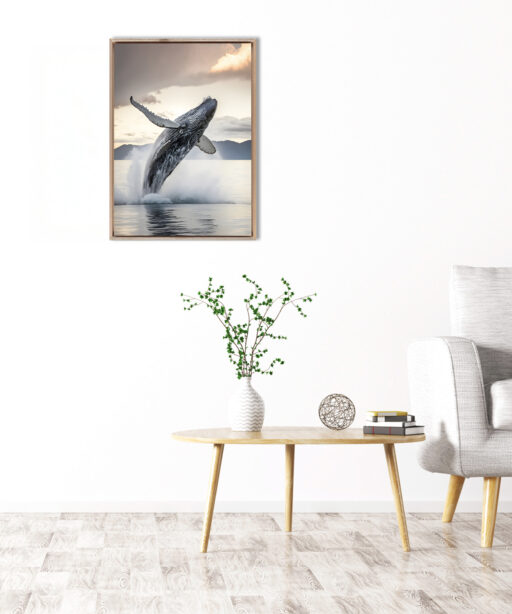 Breaching Humpback Animals ACQUA 59