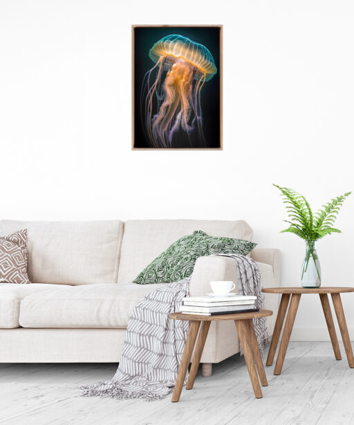 Jellyfish Underwater DEEPOCEAN 01