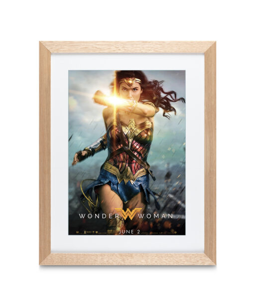 Alternative view of Wonder Woman-Movies-WW 02